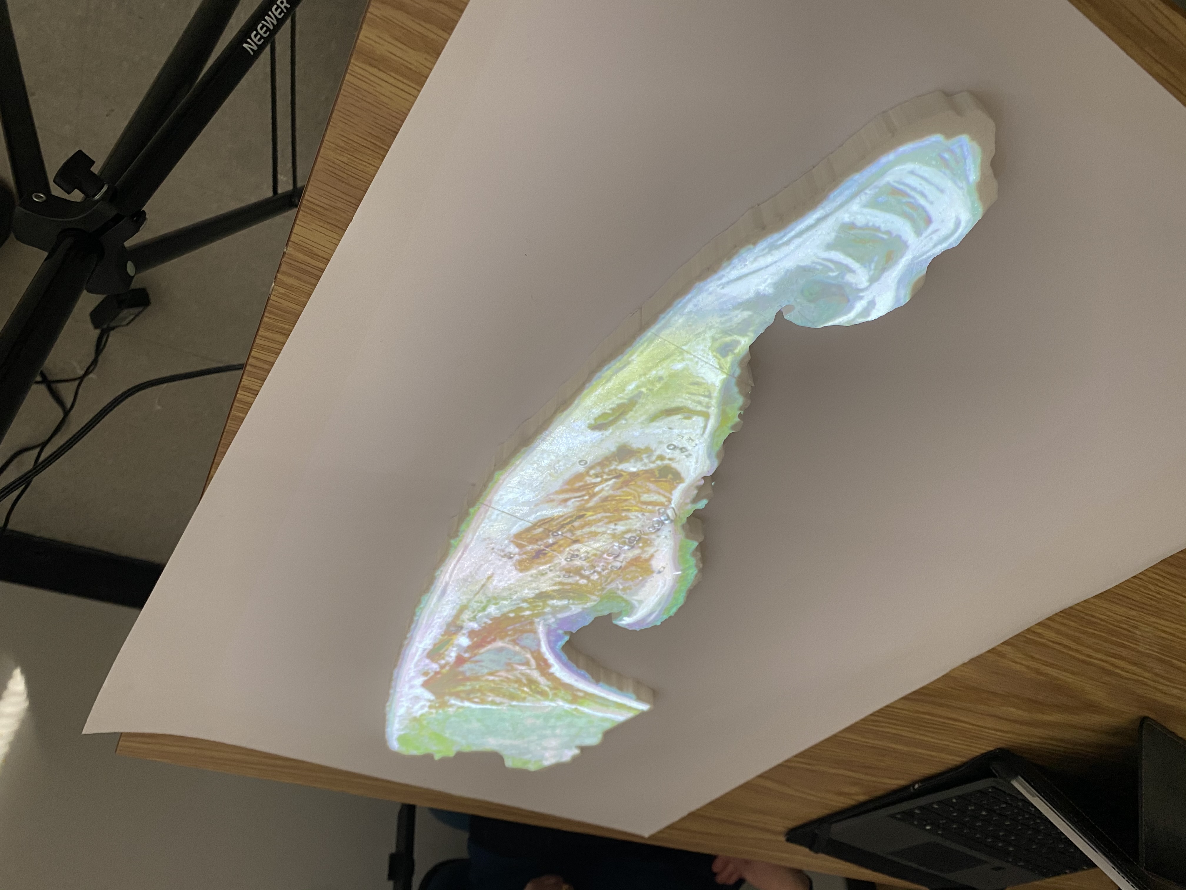 Orthomosaic projected onto a 3D printed model of Pauline Cove