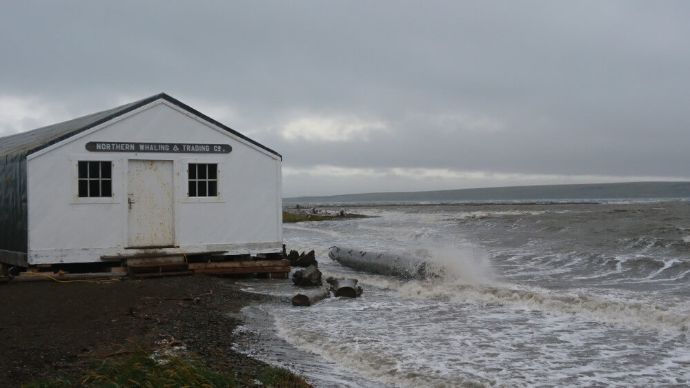 The Northern Whaling and Trading Co Store and Warehouse with encroaching shorelines, 2019. Photo Source: Klein, Konstantin and Micheal Fritz. 2019. Herschel Island Expedition 2019- Blog Post 5. Electronic document, https://nunataryuk.org/news/113-herschel-island-expedition-2019-blog-post-5, accessed April 7, 2020.