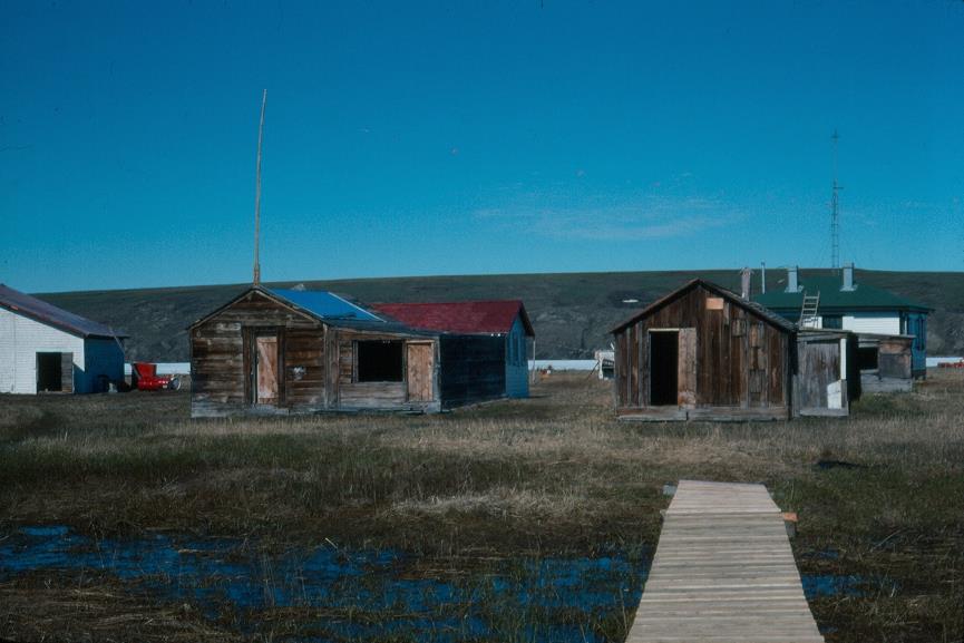 Taken during the Herschel Island and Yukon North Slope Inuvialuit Oral History Project for the Inuvialuit Social Development Program. Photo source: Inuvialuit Cultural Centre Digital Library  Nagy, Murielle (Photographer), “Cabins at Pauline Cove,” Inuvialuit Cultural Centre Digital Library, accessed April 21, 2020, https://inuvialuitdigitallibrary.ca/items/show/3175.
