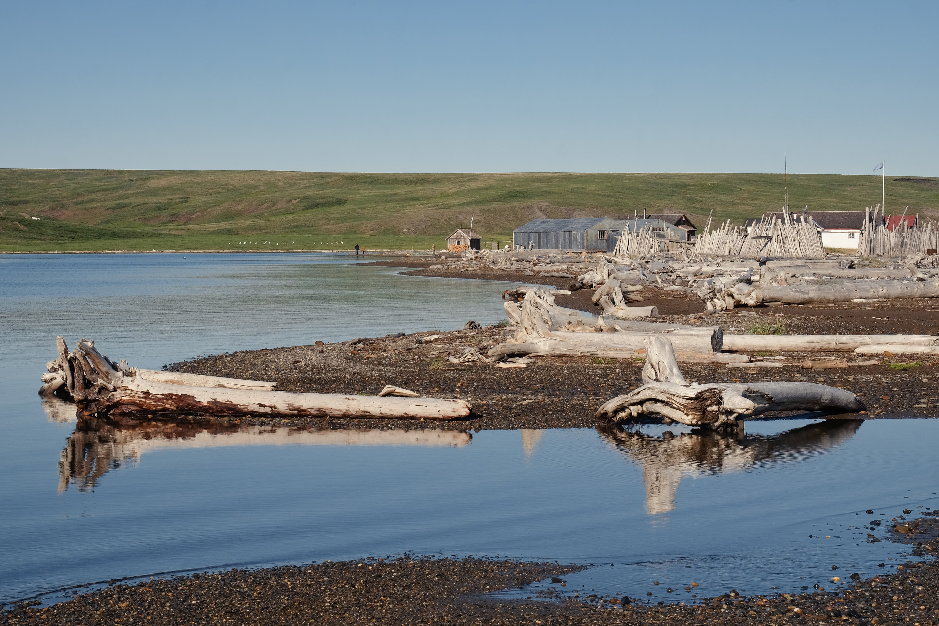 Driftwood at Pauline Cove, with the Northern Whaling and Trading Company store and other buildings visible in the background. Photo source: Sandra Angers-Blondin, https://www.vanishingislandphoto.comhttps://www.instagram.com/sandra.angers.b/