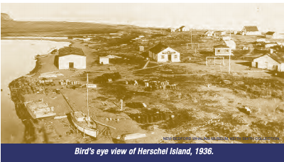Birds eye view of Herschel Island, 1936. Photo source: Yukon Government. 2011 Herschel Island: Qikiqtaruk. A Guide to Historic Resources. Electronic document, https://yukon.ca/sites/yukon.ca/files/tc/tc-herschel-island-qikiqtaruk-guide.pdf