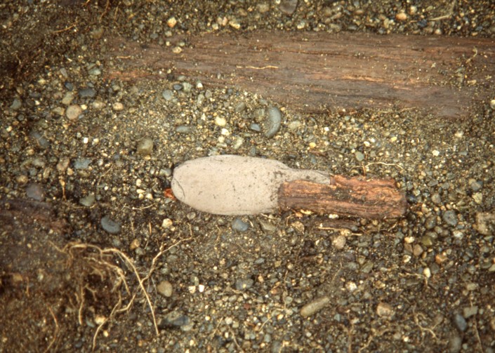 A hafted knife recovered from a sod house excavation