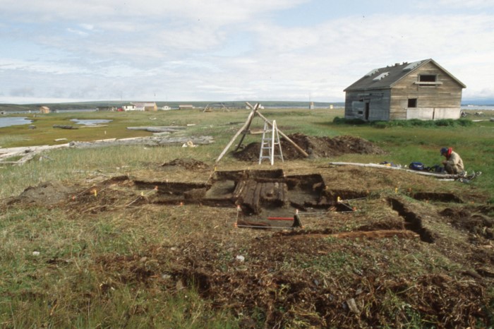 A sod house under excavation on Herschel Island