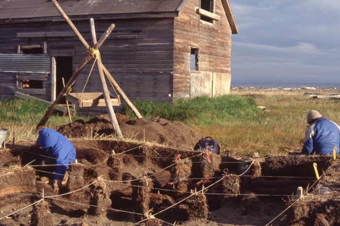 Excavating a sod house on Herschel Island